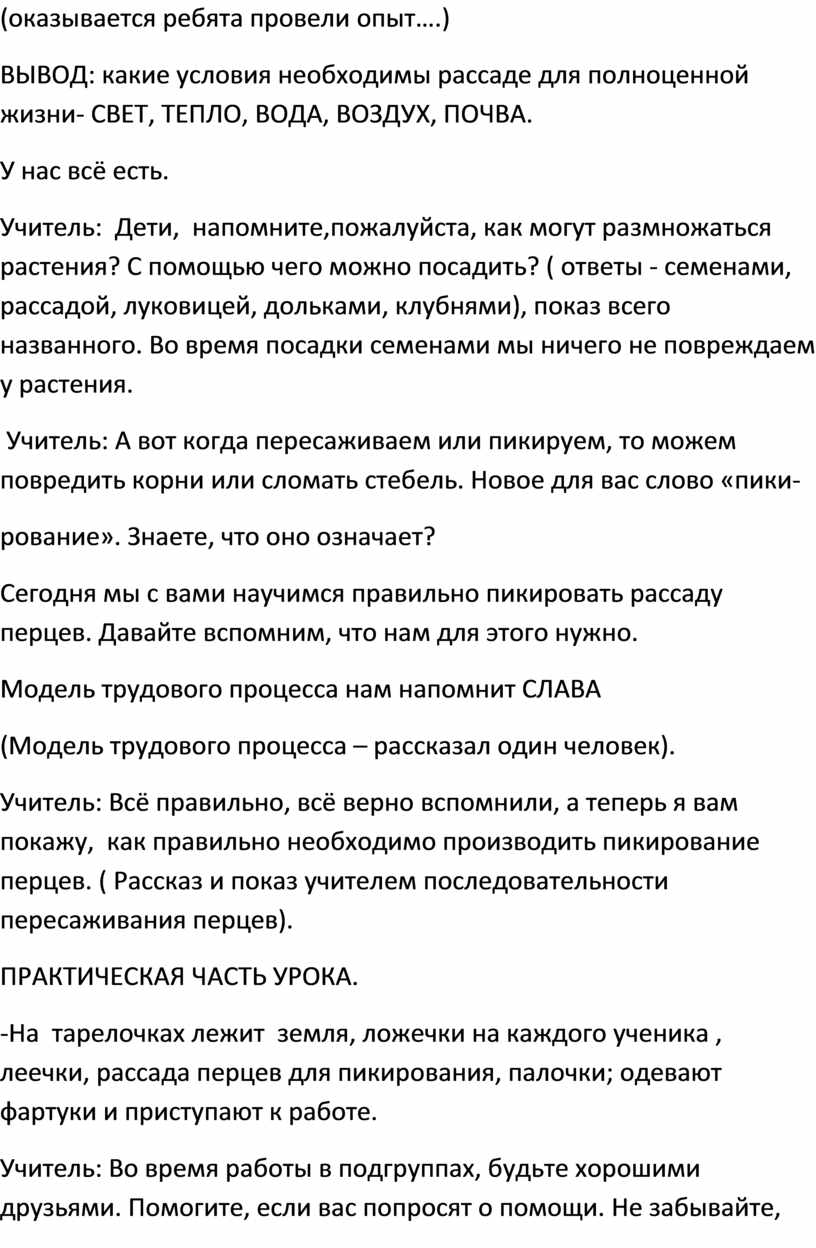 ВЫВОД: какие условия необходимы рассаде для полноценной жизни-