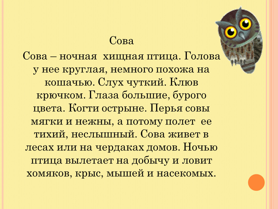 Рано появилась луна и нарушила мир совы схема предложения