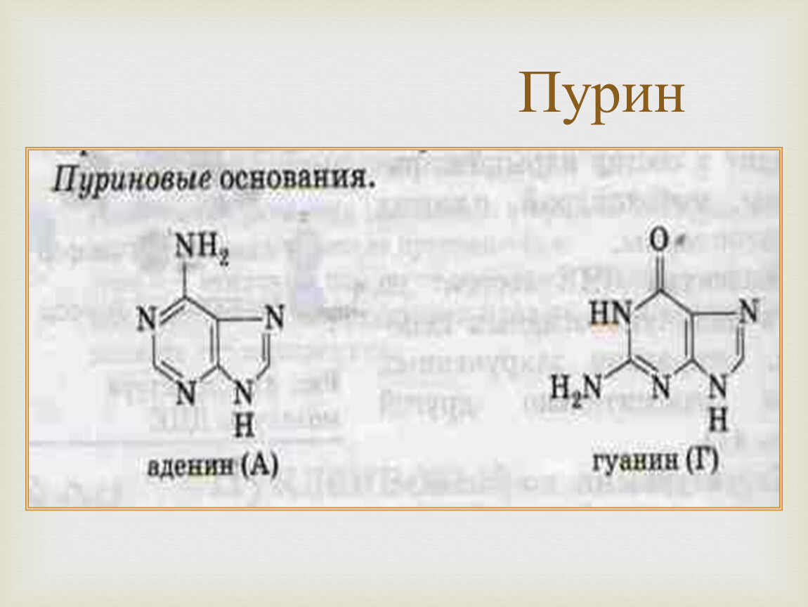 Пурин нова