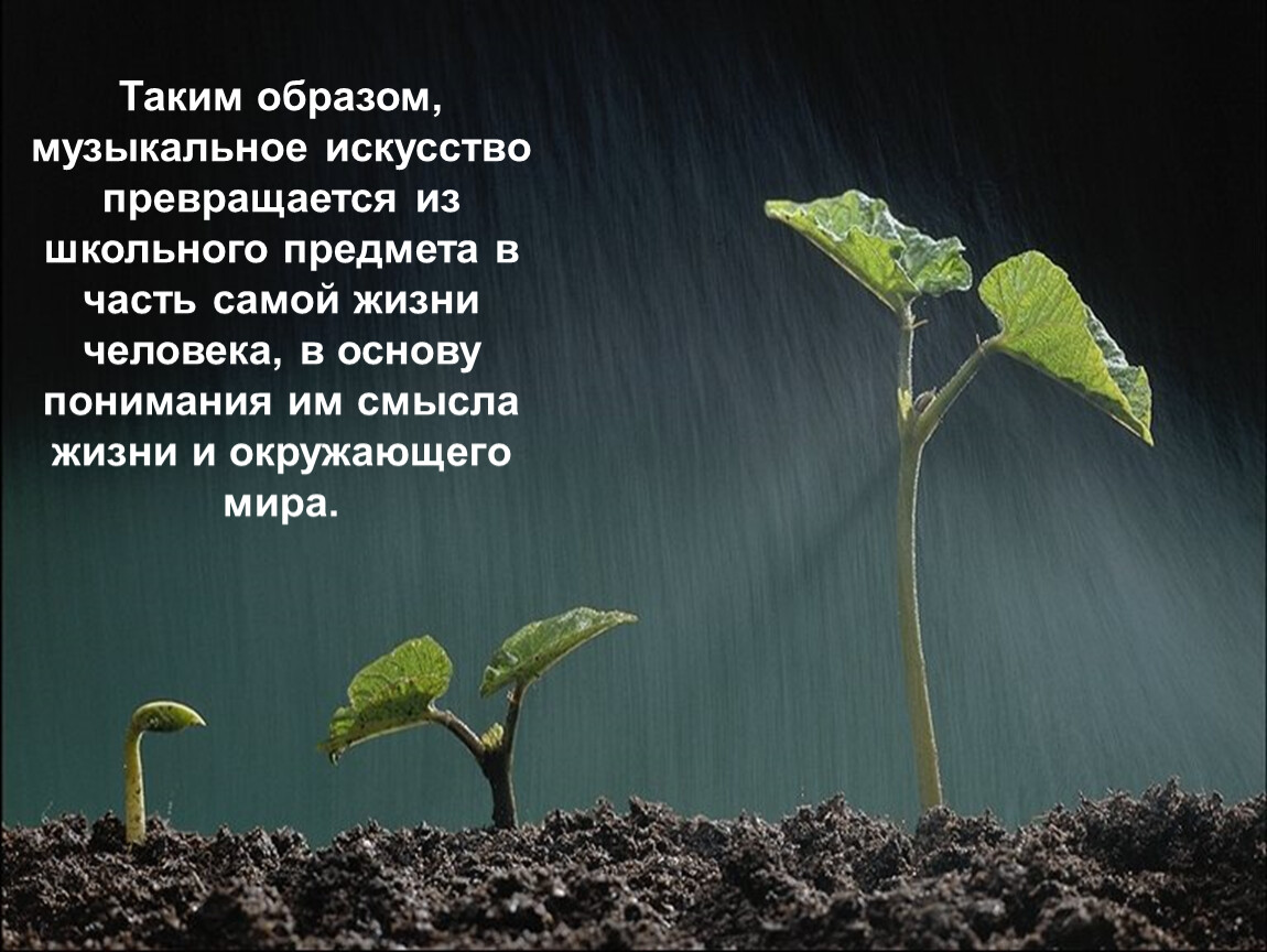 Земля воняет. Росток. Земля для растений. Растения в почве. Дождь земля растения.