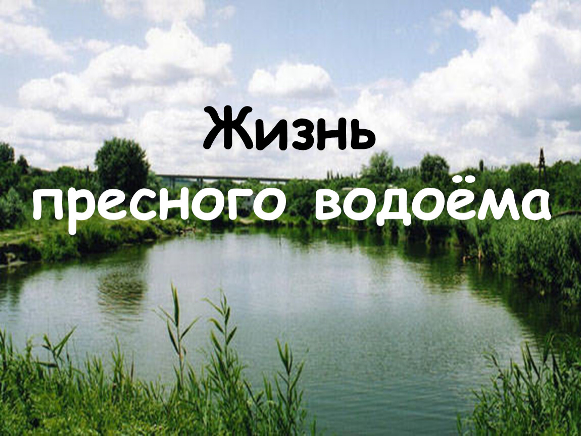 Водоемы презентация 4 класс