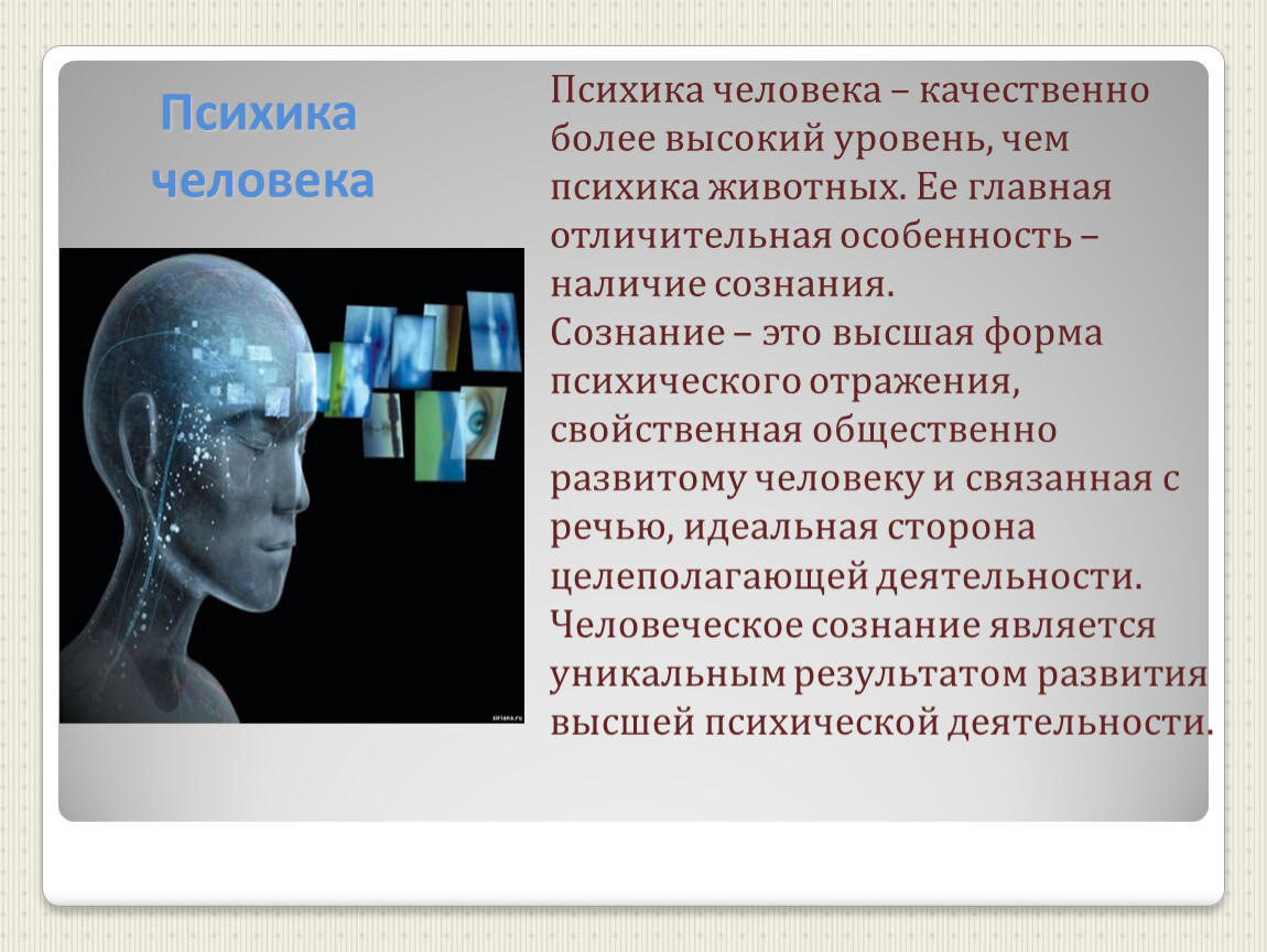 Что представляет собой психика человека