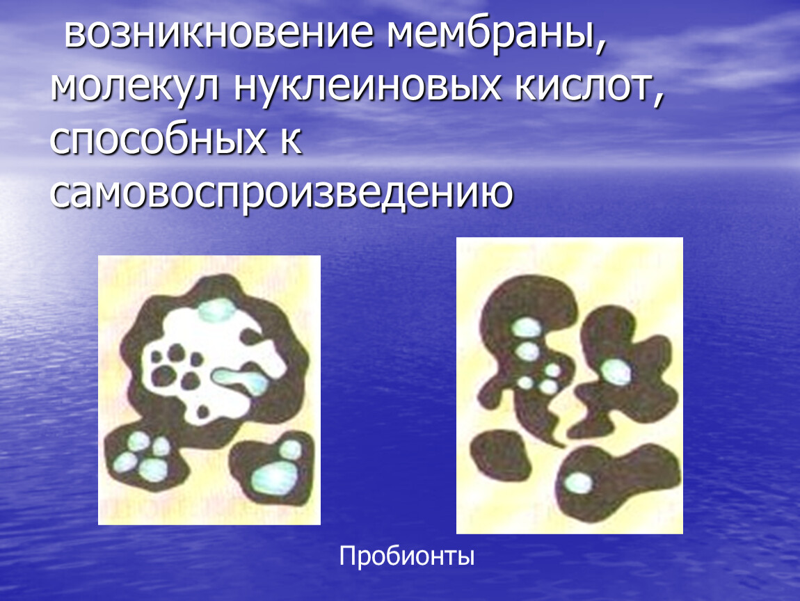 Протобионты. Возникновение молекул. Возникновение коацерватов. Пробионты. Пробионты и коацерваты.