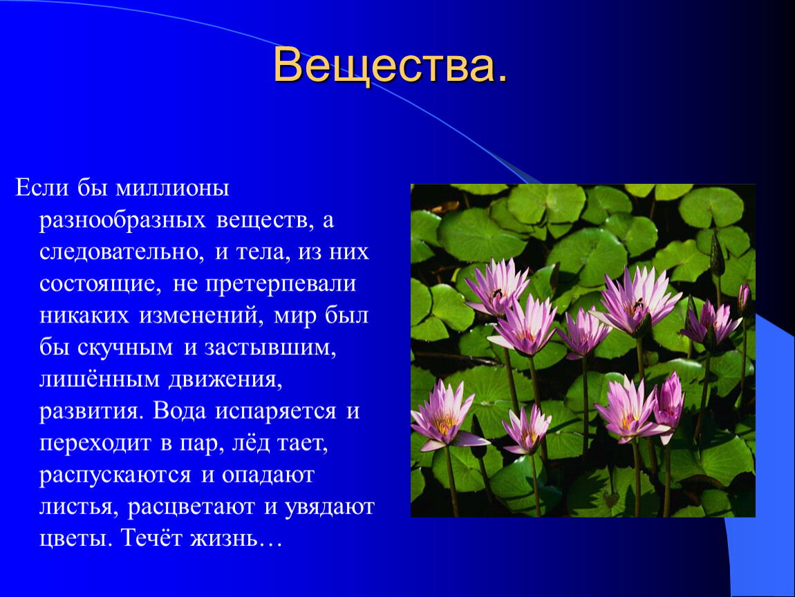 Вещества текст. Развитие водных растений кратко. Ботанический сад определение 3 класс. Кью информация. Краткое сообщение о Кью.