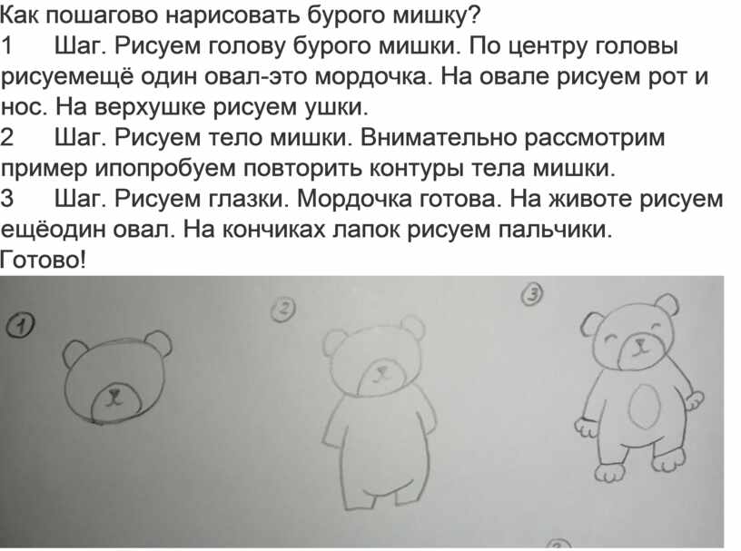 Как пошагово нарисовать бурого мишку? 1