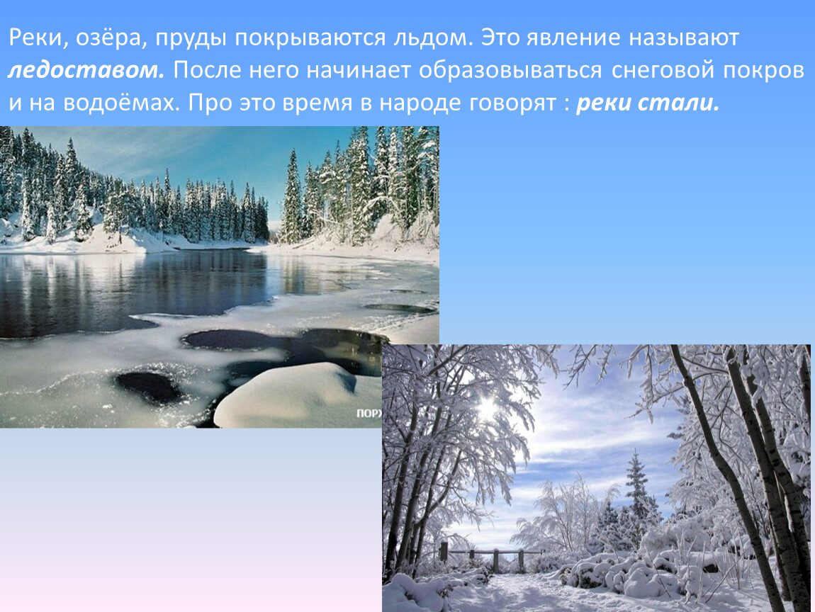 Как изменяется река в разные времена года. Замерзание рек озёр прудов. Водоемы покрылись льдом. Реки и озера покрыты льдом. Речка покрылась льдом.