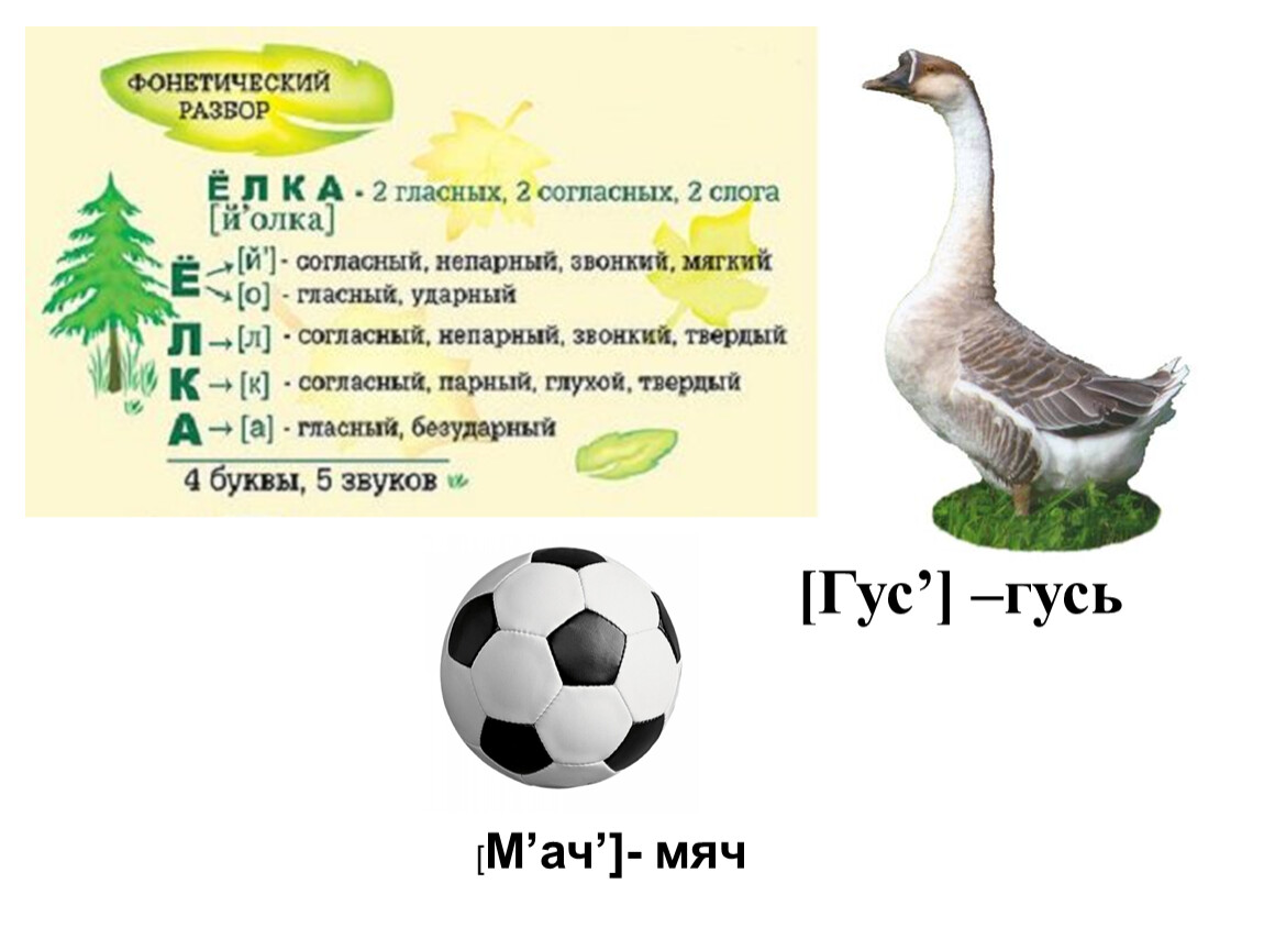 Согласные звуки в слове гуси. Анализ слова гуси. Звуковой анализ слова гуси. Фонетический разбор слова Гусь. Звуковой анализ слова Гусь для дошкольников.
