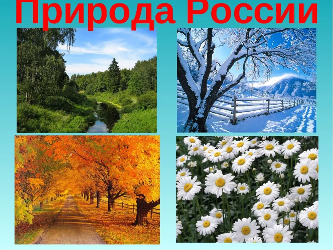 Слайды с изображением природы России,