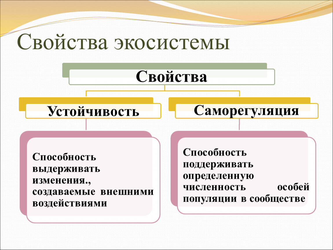 Свойства экосистем презентация