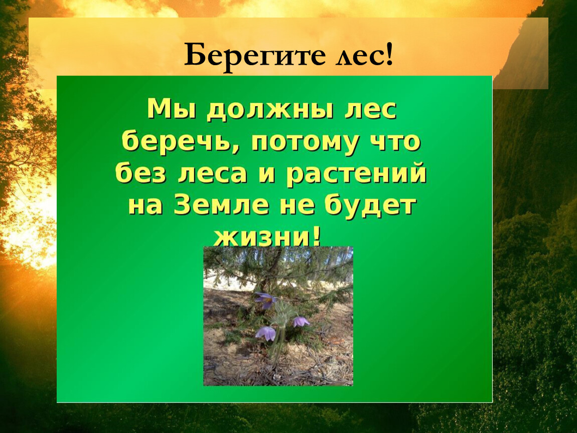 Береги природу презентация 3 класс