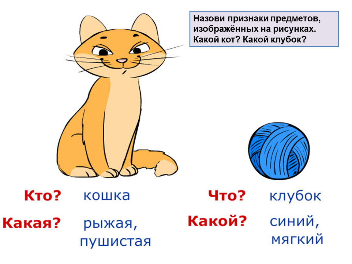 Назови признаки изображенных предметов. Назови признаки. Роль слов в речи 1 класс. Какой кот признаки слова признаки предметов. Какой кот.
