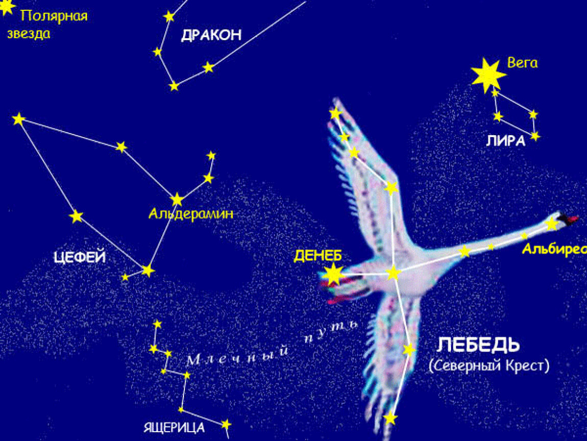 Созвездие северного неба презентация