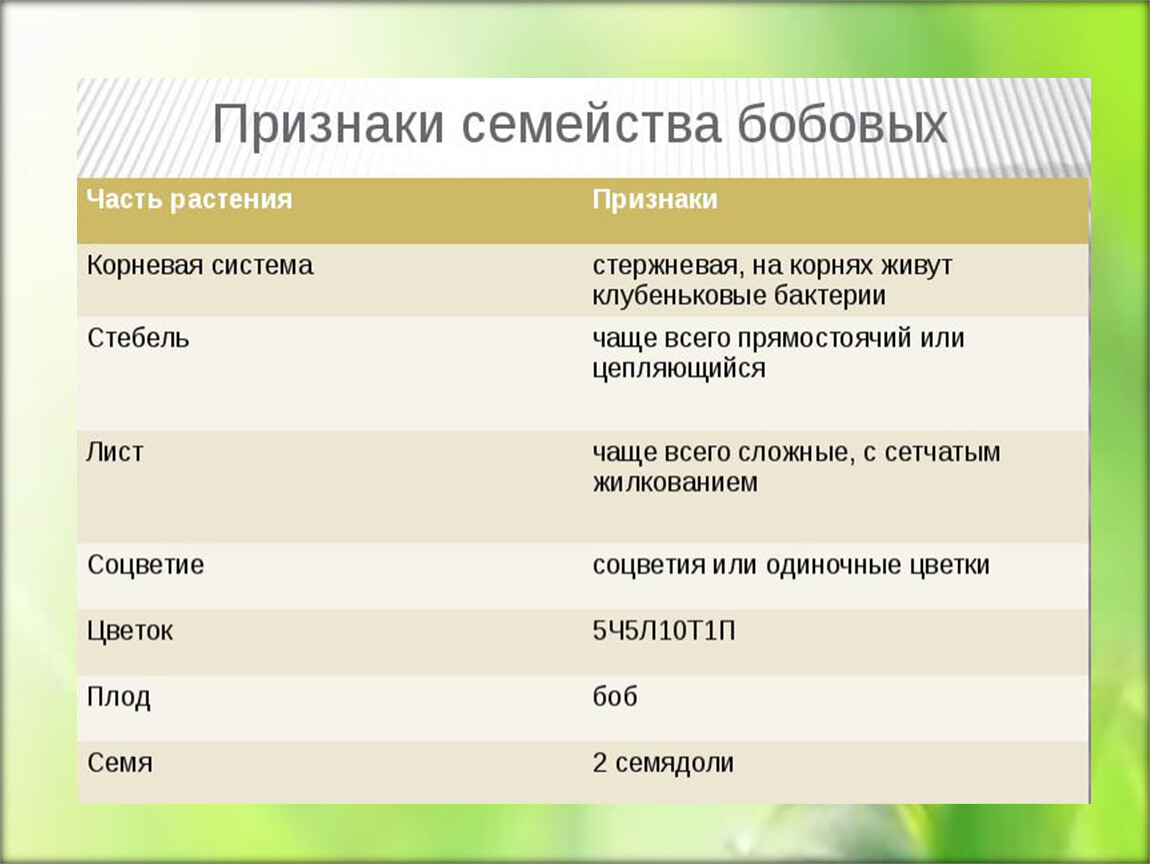 Виды семейств растений. Семейства растений. Все признаки семейств растений. Семейства растений 7 класс.