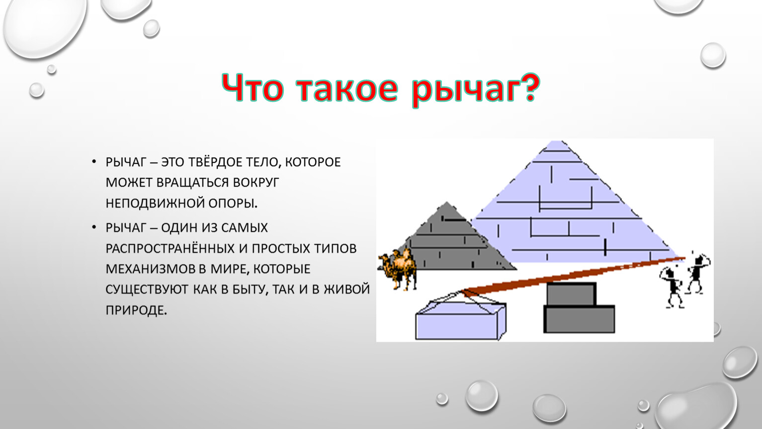 Проект по физике рычаги в быту и живой природе проект