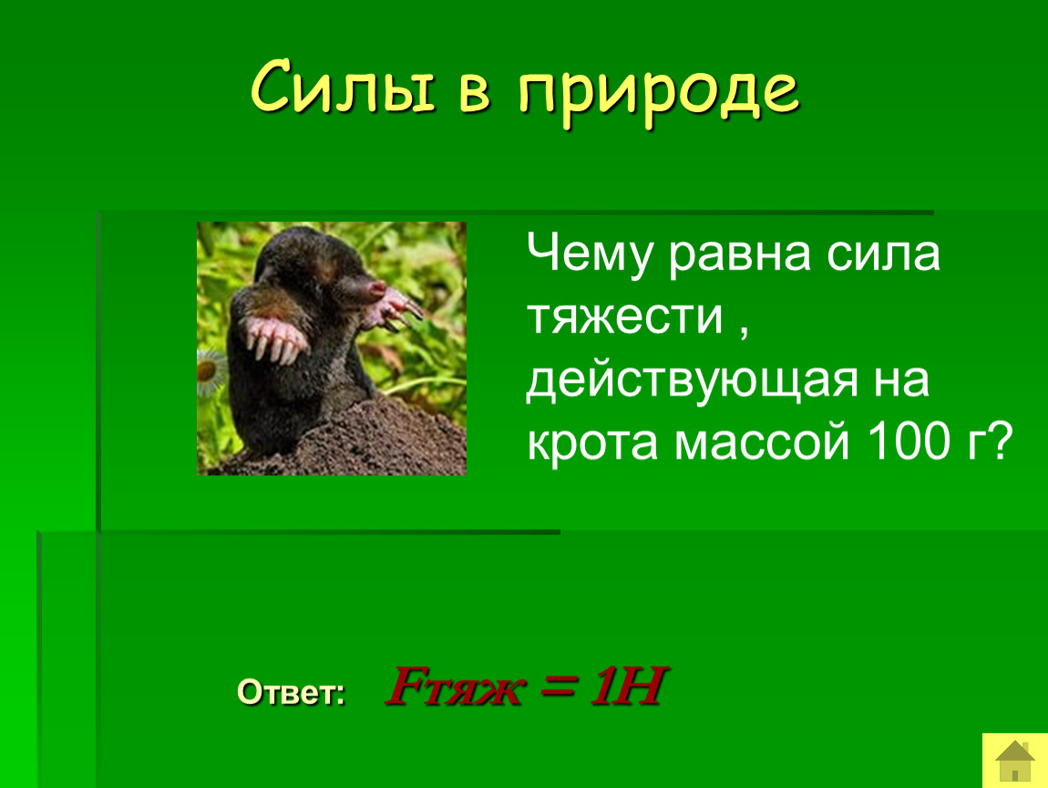 Чему примерно равна сила тяжести действующая. Чему равна сила тяжести действующая на крота массой 100 г. Чему равна сила тяжести. Чему равна сила. Чему равна сила тяжести действующая.