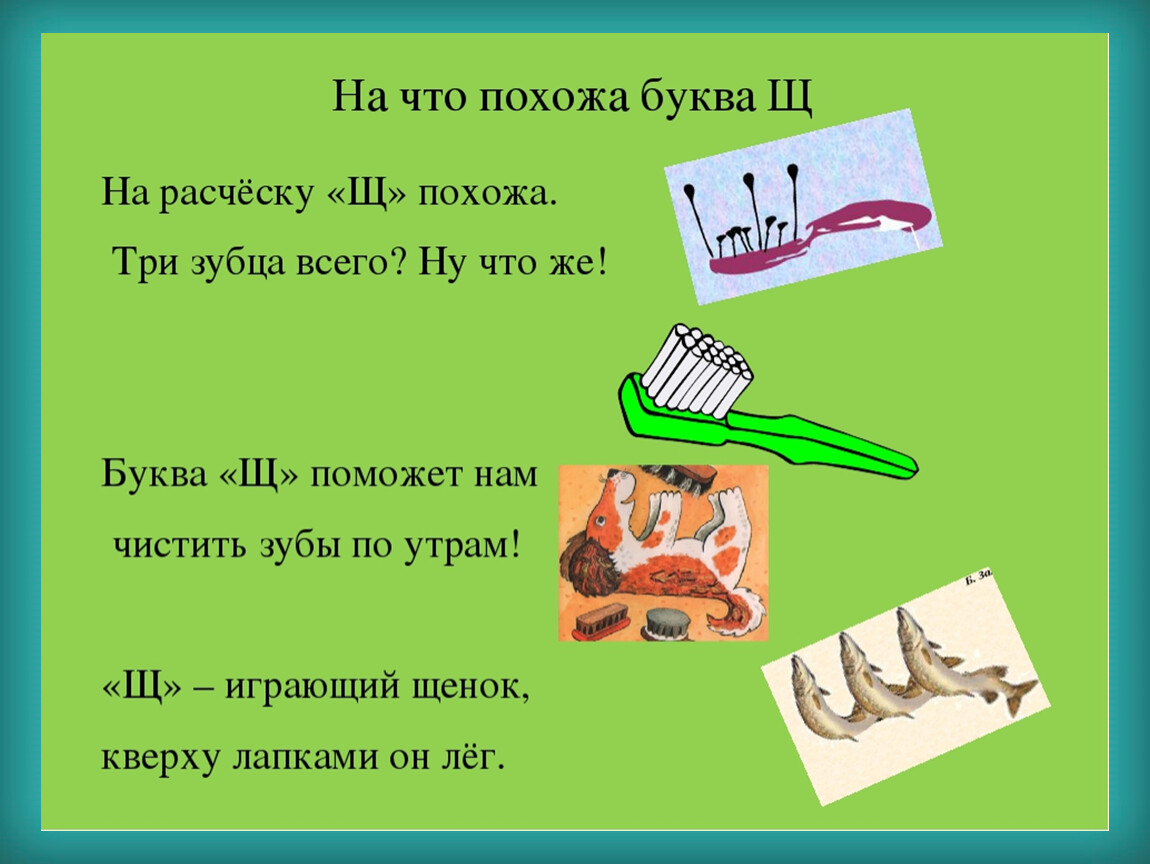 Презентация знакомство с буквой щ для дошкольников