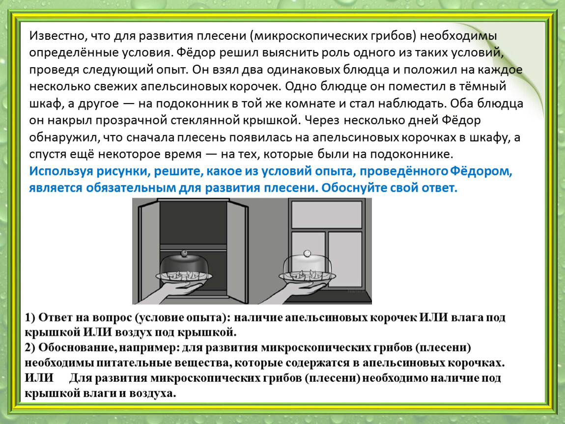 Используя рисунки решите какое еще условие постоянно присутствовало в опыте