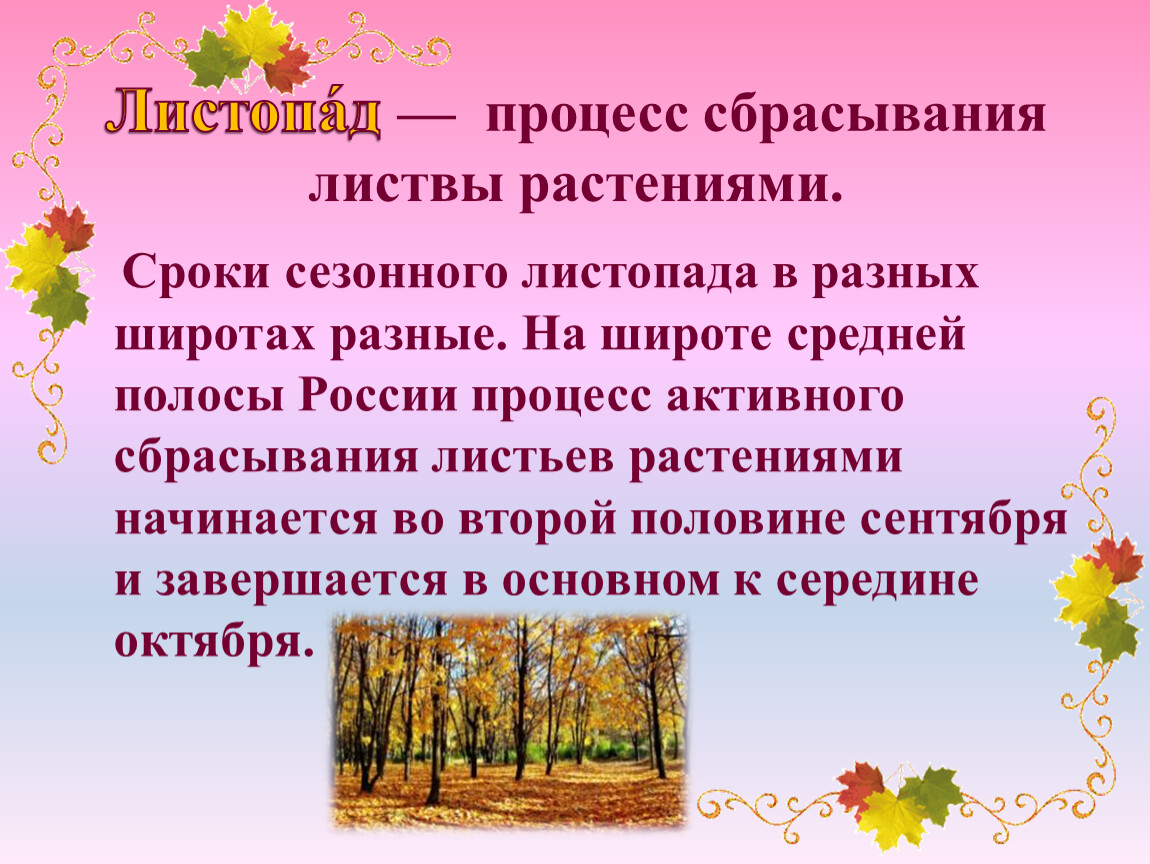 Процесс листопада. Процесс сбрасывания листвы растениями. Сезонный листопад. Начался листопад.