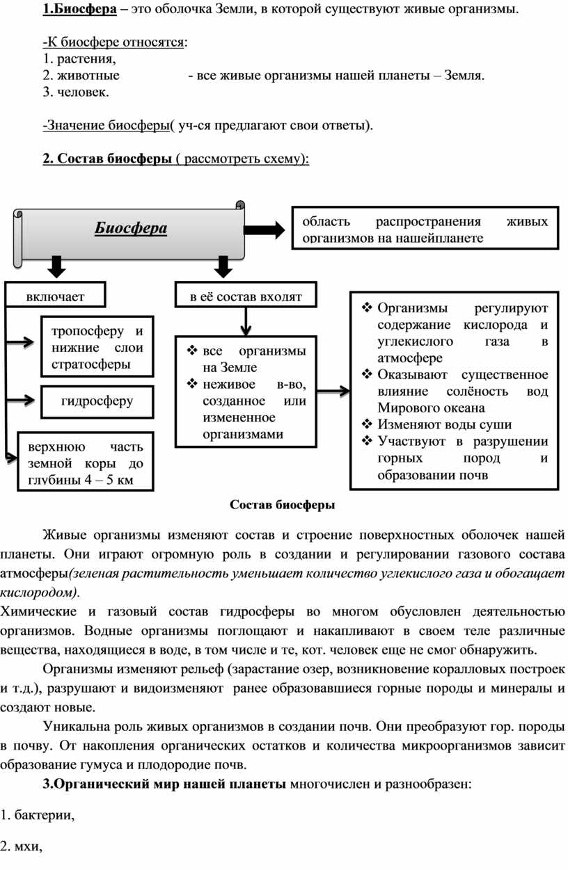 Строение биосферы 6 класс