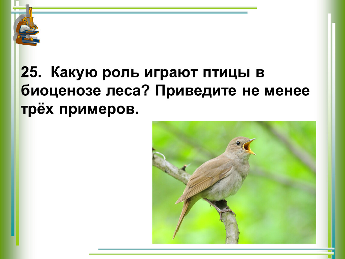 Не менее 3 примеров. Роль птиц в биоценозе. Какую роль играют птицы в лесу. Какую роль играют птицы в биоценозе леса. Какую роль играют птицы в биоценозе леса приведите.