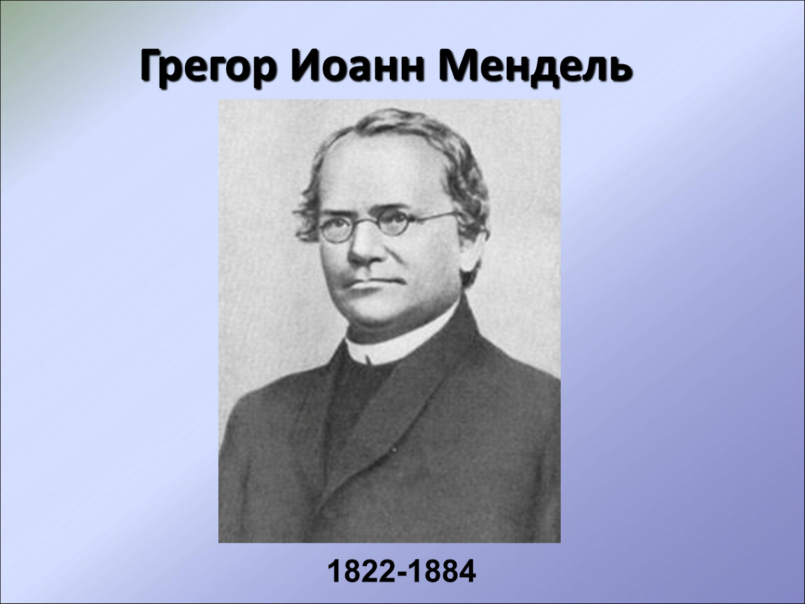 Мендель биология. Грегор Мендель (1822—1884). Григорий Мендель. Грегор Мендель в юности. Теория Грегора Менделя.