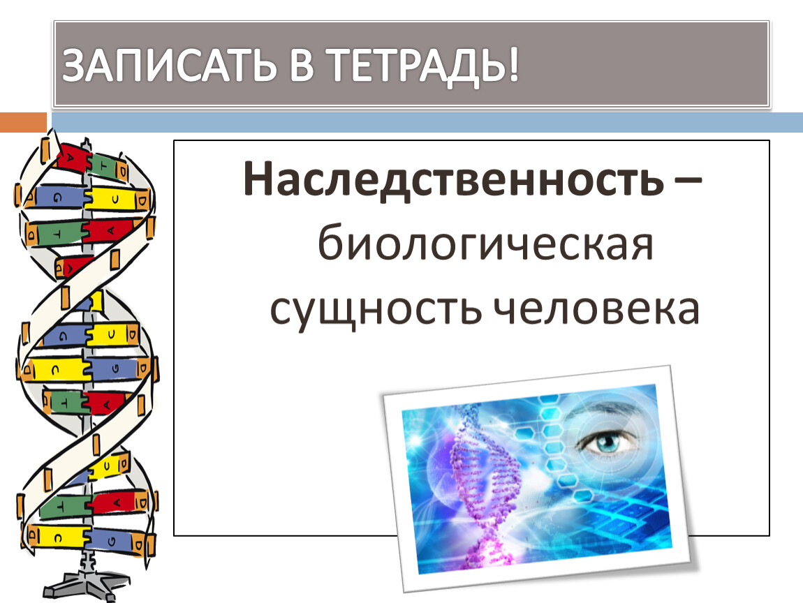 Наследственность биологический. Наследственность это биологическая сущность человека. Наследственность биологическая сущность всех людей. Биологическая сущность человека план Обществознание. Человек биологическое существо.