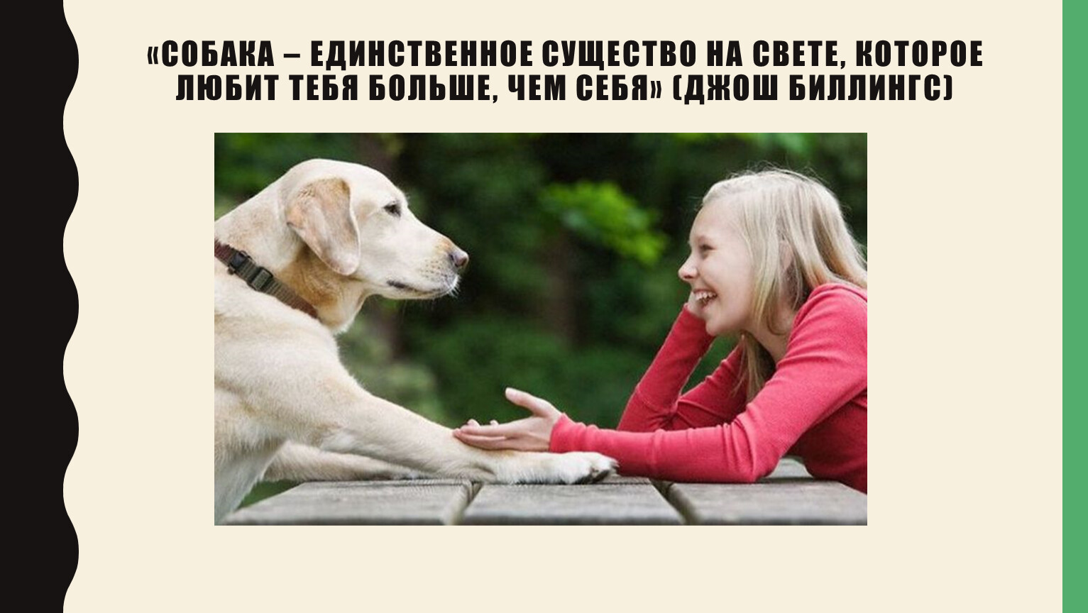 2 июля день собак. Международный день собак. Собака это единственное существо на свете которое любит. Всемирный день собаки 2 июля. Международный день щенка.