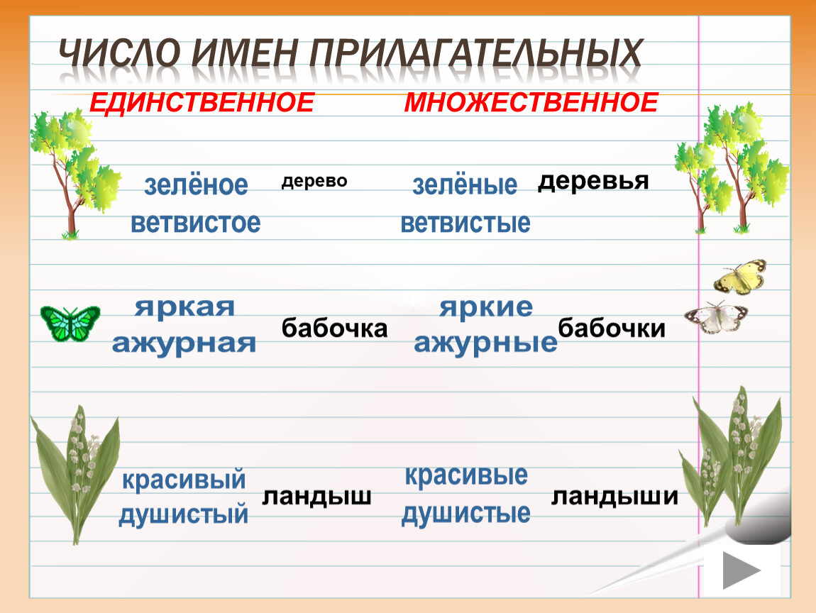 Карточки по русскому языку число имен прилагательных
