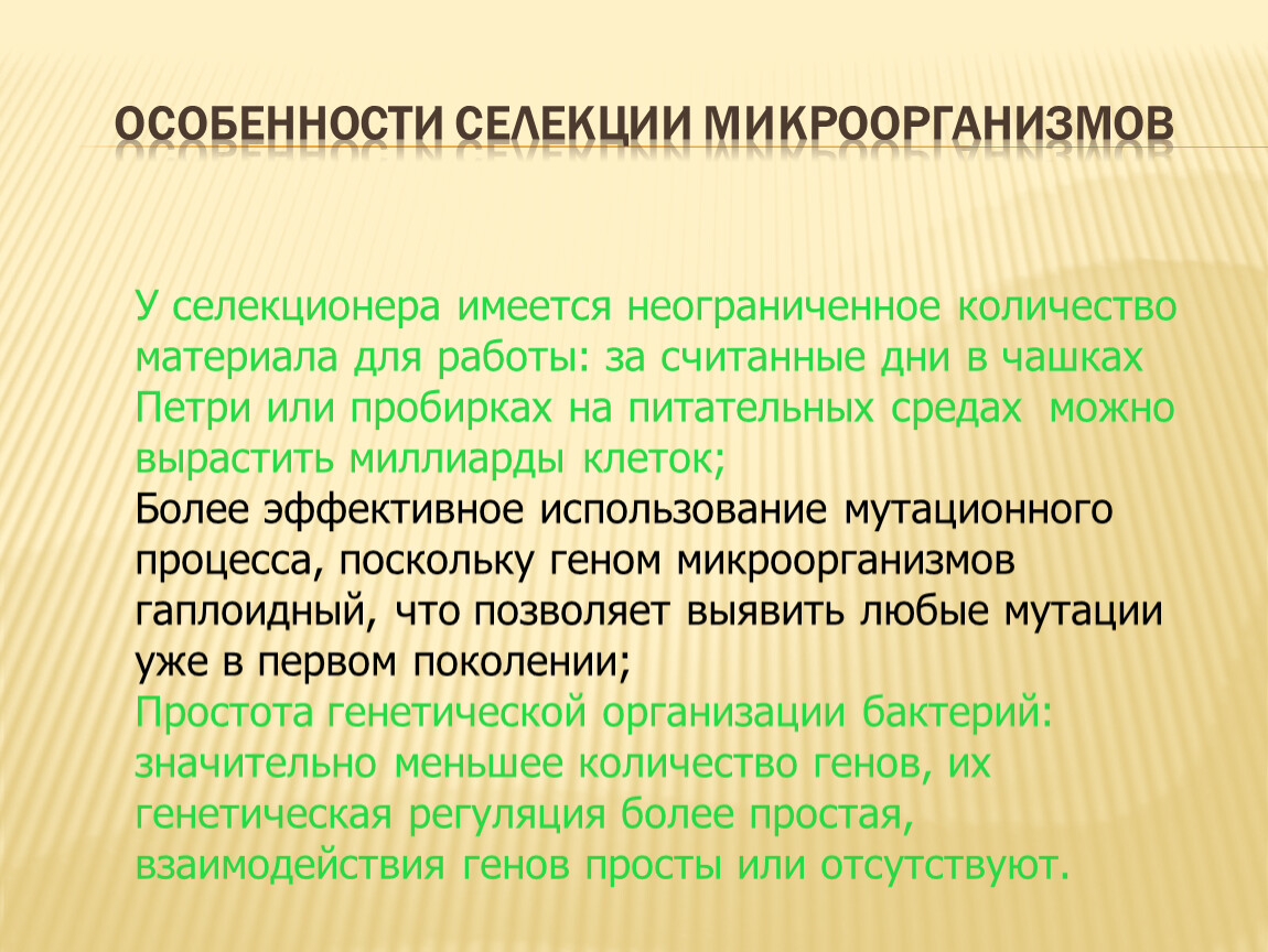 Селекция презентация. Селекция микроорганизмов. Особенности селекции микроорганизмов. Особенности селекции бактерий. Селекция микроорганизмов примеры.