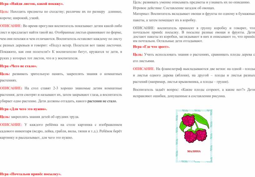 Игра «Найди листок, какой покажу»