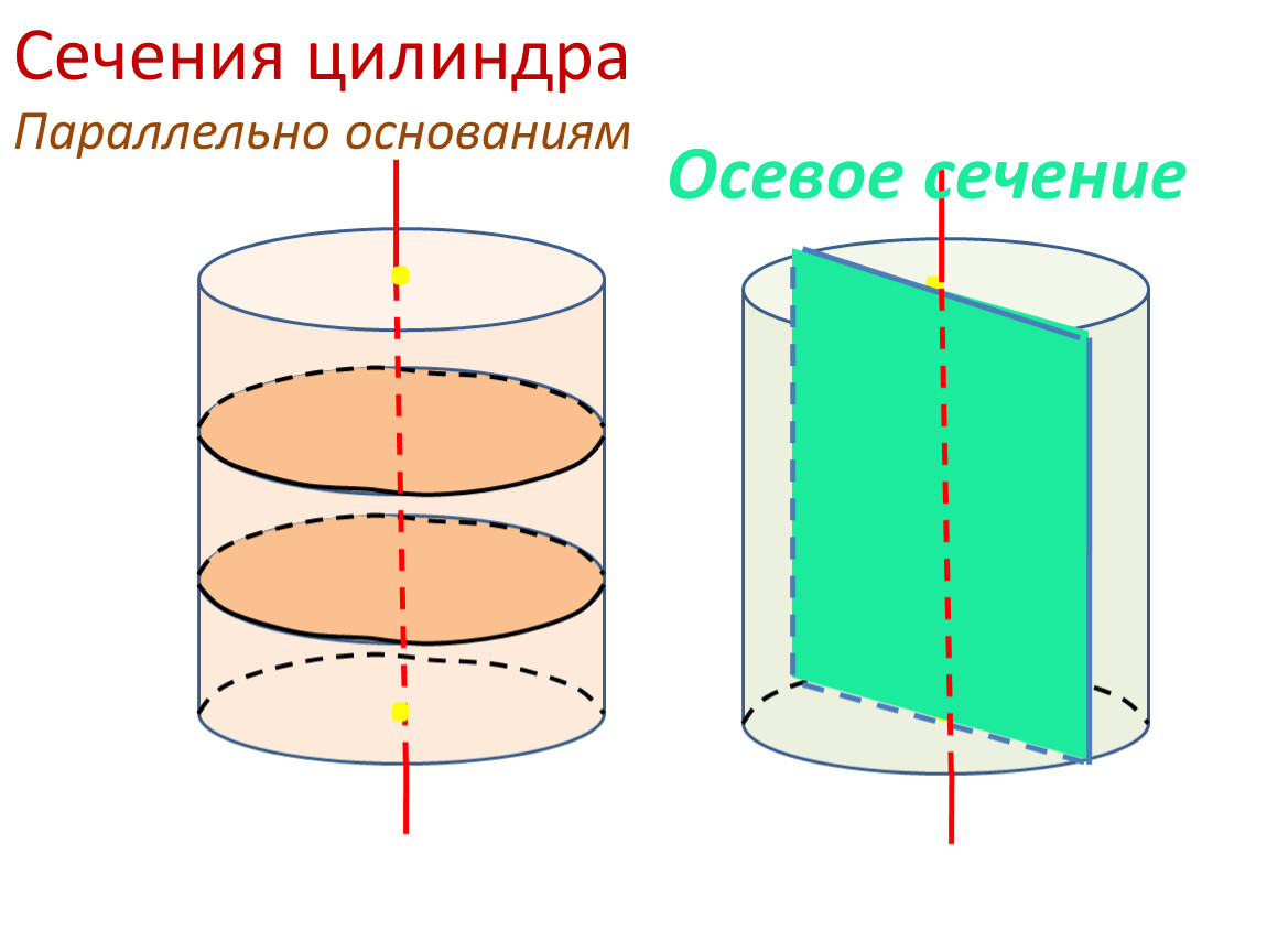 Цилиндр 5 класс. Осевое сечение цилиндра чертеж. Сечения цилиндра: осевое и параллельное основанию.. Сечение параллельно основанию цилиндра. Параллельное сечение цилиндра.