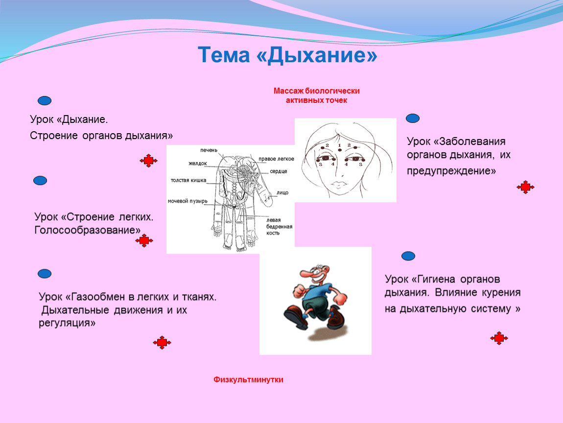 Тем дыхание. Тема дыхание. Легкое дыхание урок 11 класс. Уроки дыхания. Творческое задание про дыхательную систему.