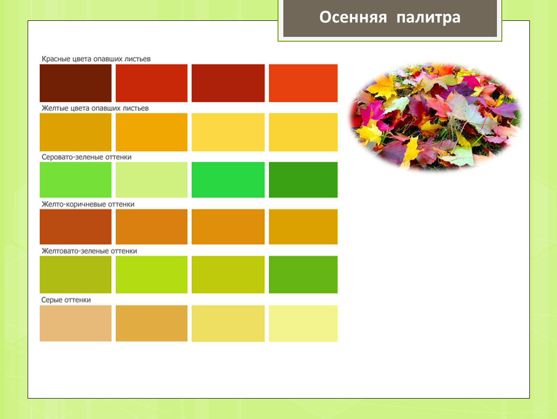 Какого цвета осень. Палитра цветов по изобразительному. Цветовая палитра класса. Цвета осени названия цветов. Осенняя палитра цветов с названиями.