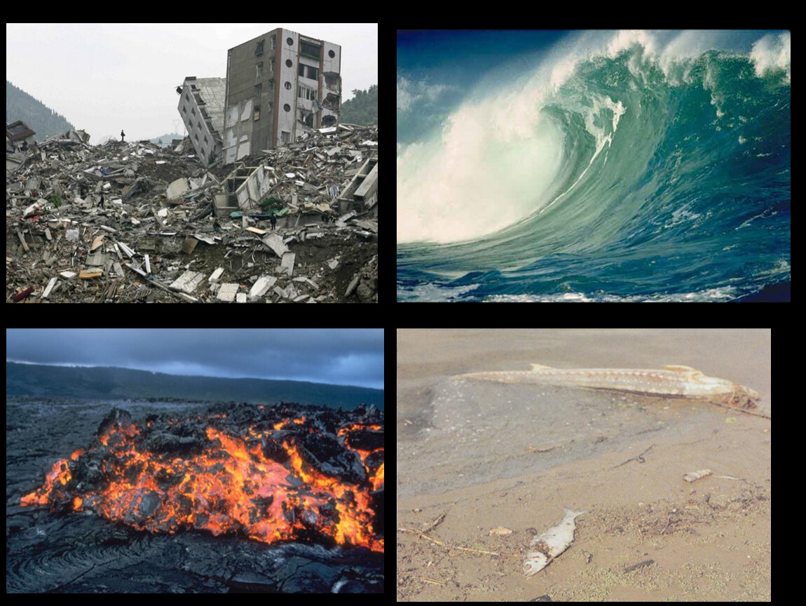 Социальные катаклизмы. Экологические катаклизмы. Катастрофы природного характера. ЧС стихийные бедствия. Природные и антропогенные катастрофы.
