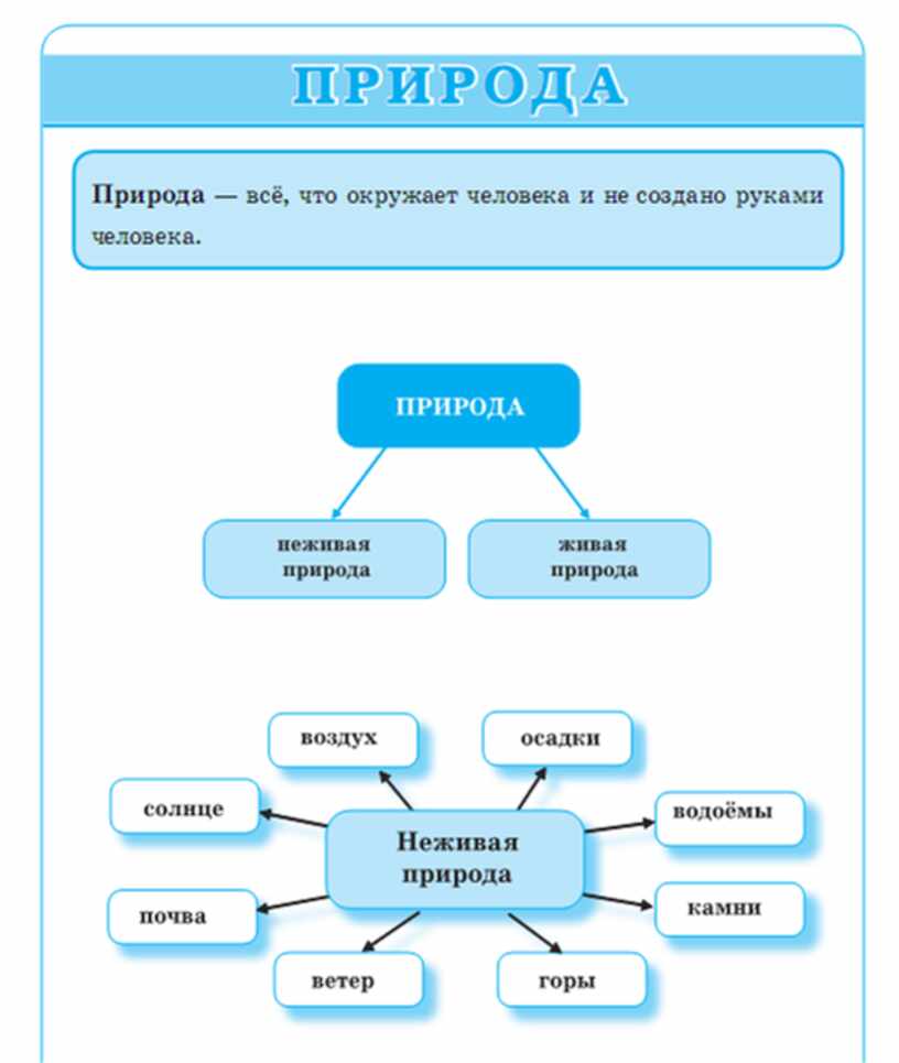 Схема окружающий мир