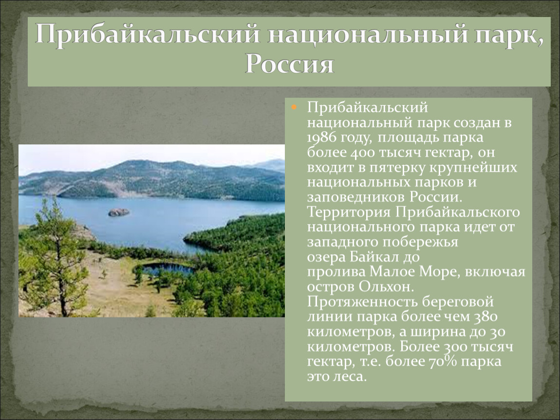 Национальный парк презентация. Прибайкальский национальный парк территория. Прибайкальский национальный парк климат. Прибайкальский национальный парк презентация. Прибайкальский национальный парк сообщение.