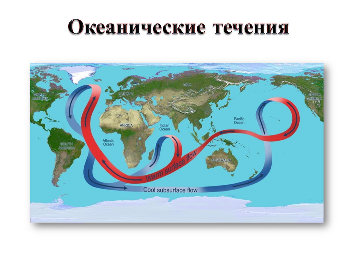 Океанические течения. Карта океанических течений. В норильске теплое океаническое течение