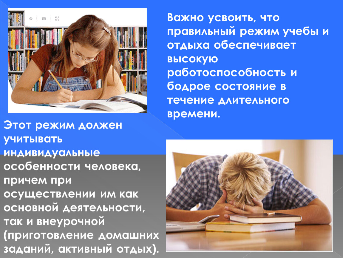 В течение длительного времени. Режим учебы. Усвоить важность. Наиболее высокая работоспособность детей приходится на:. Работоспособность и отдых человека.