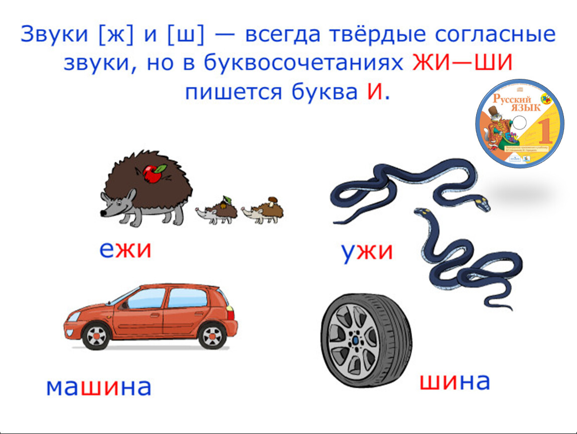 Урок русского языка по теме