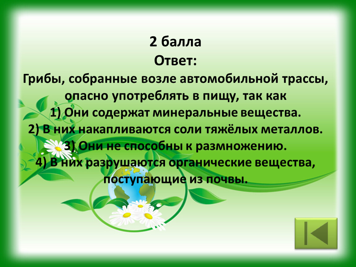 Врач объяснила, почему опасно покупать и собирать грибы возле дороги