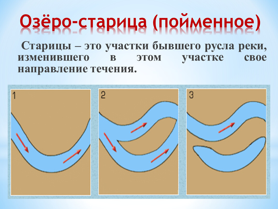 Презентация география 8 класс по теме: 