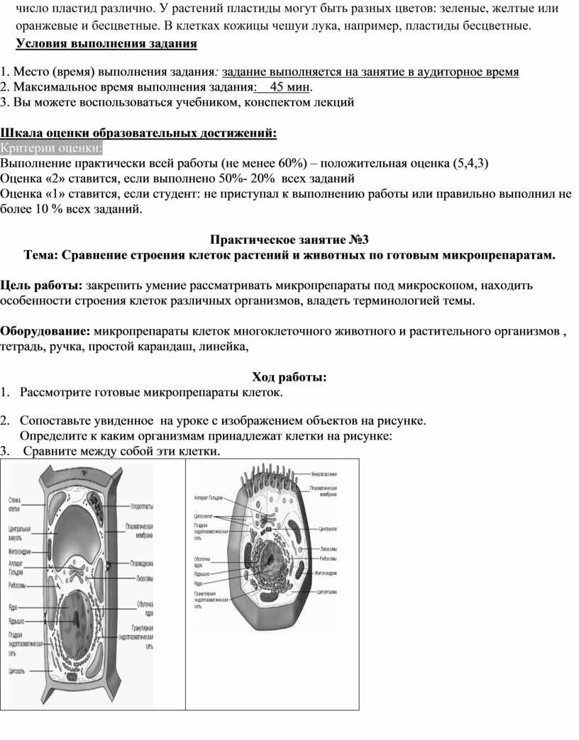 МСХ Биология ФОС ТА