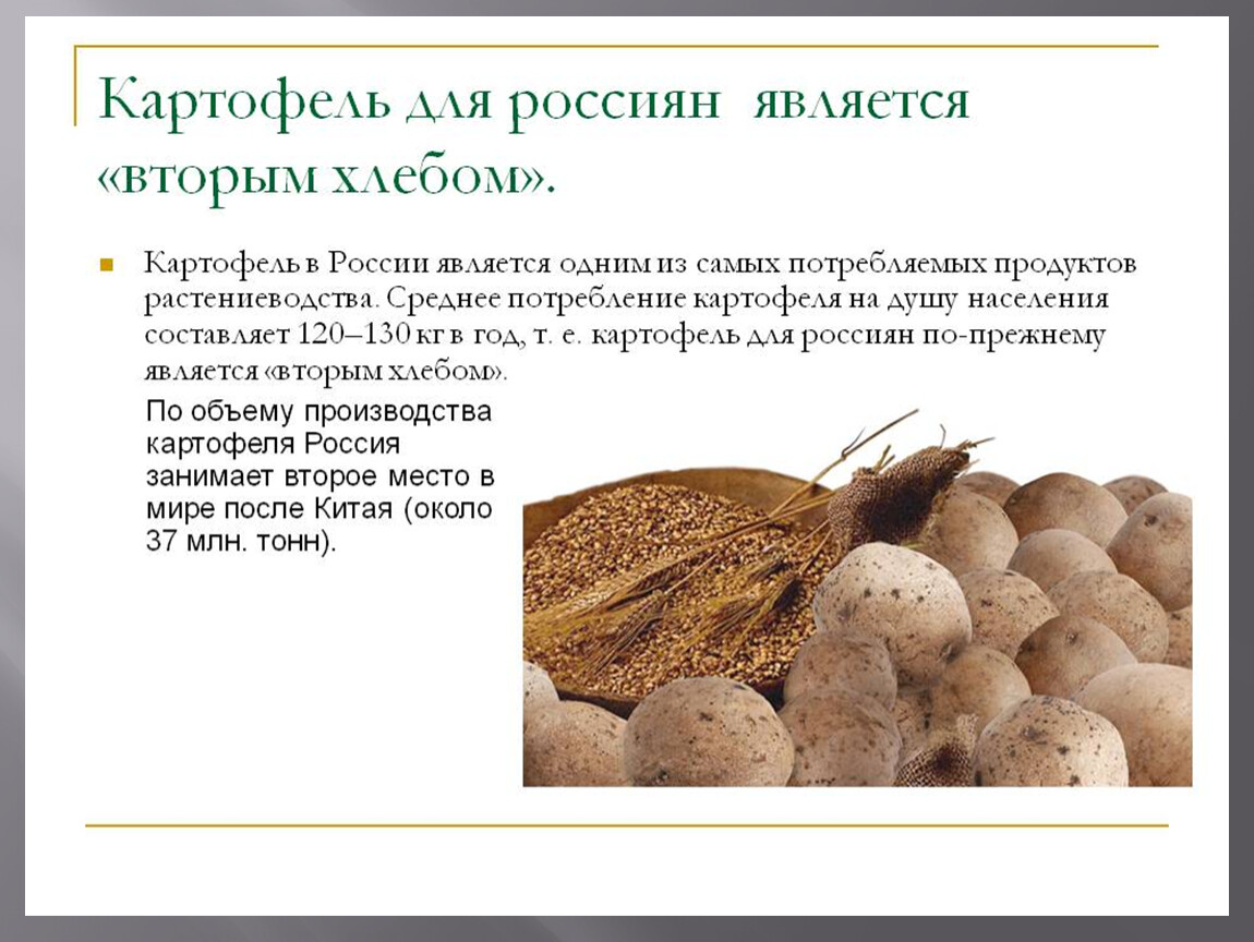 Откуда картошка в россии. Картофель презентация. Картошка для презентации. Информация о картошке. Кратко о картошке.