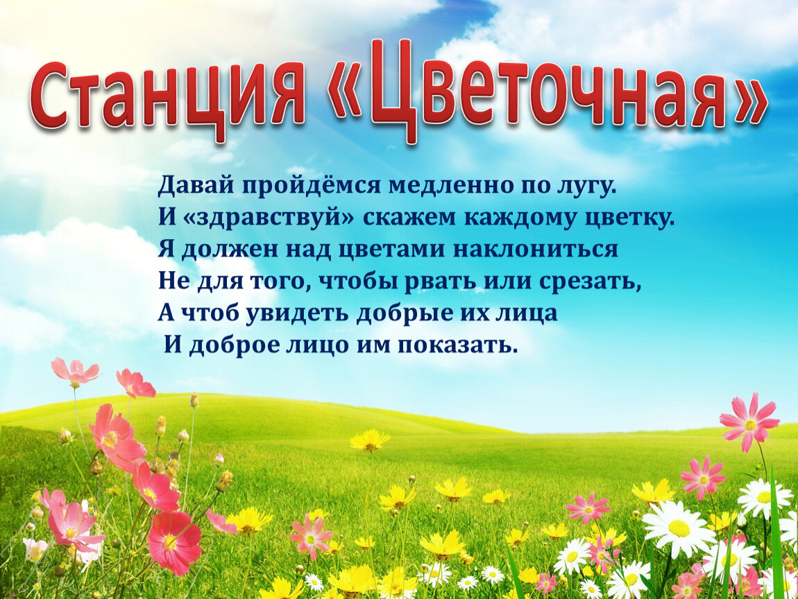 Давай цветов. Станция Цветочная. Станция Цветочная Поляна. Станция цветок. Станция Цветочная картинка.