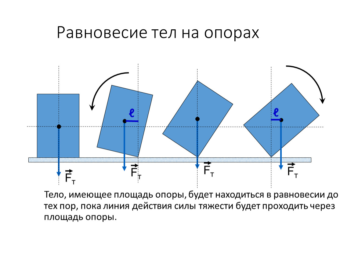 Увеличение равновесие. Площадь опоры тела. Равновесие тела на опоре. Виды равновесия тела имеющего точку опоры. Площадь опоры человека.