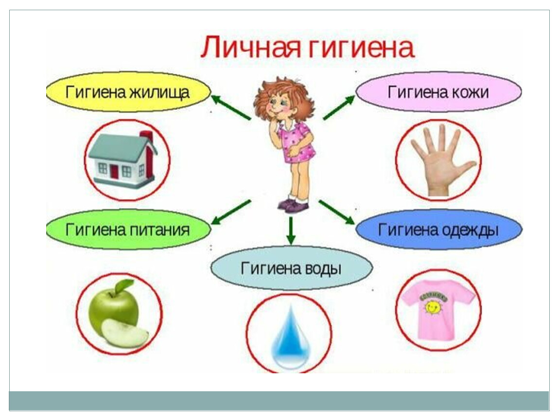 Знаки личной гигиены. Личная гигиена 2 класс окружающий мир.