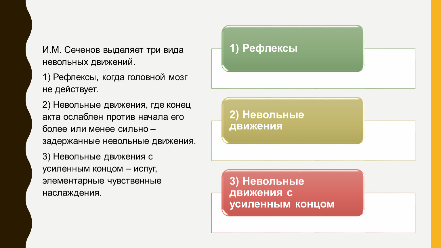 И.М. Сеченов и его труд «Рефлексы головного мозга»