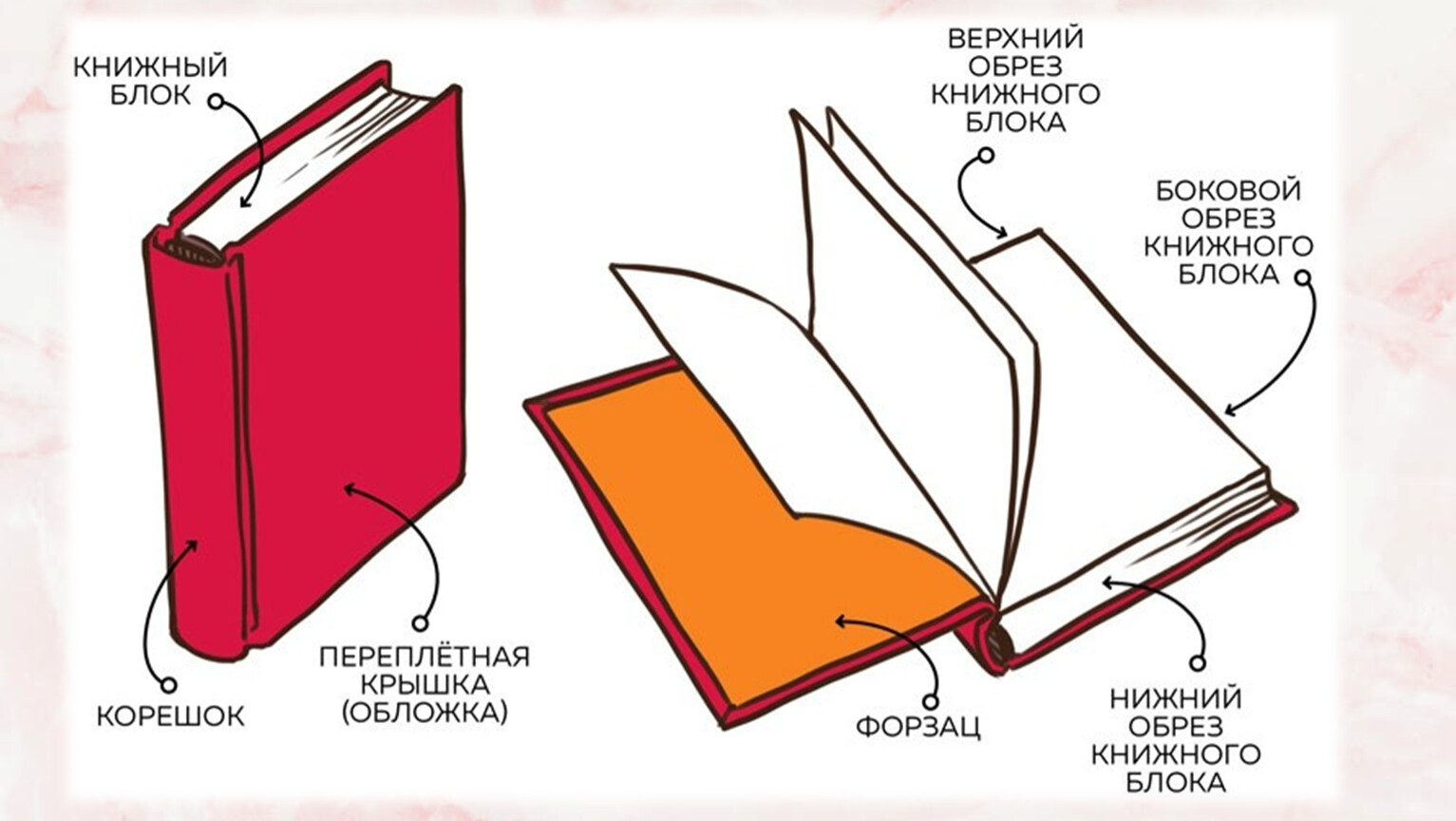 Название составляющих книги. Из чего состоит структура книги. Из чего состоит книга схема для детей. Как называется часть книги сбоку. Как называется часть книги корешок.