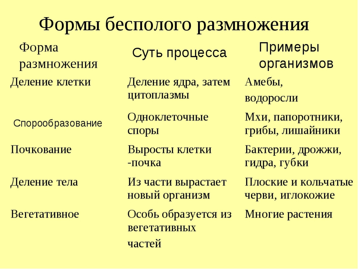 Размножение организмов таблица. Формы размножения. Бесполое размножение таблица. Таблица форма бесполого размножения особенности примеры. Бесполое размножение таблица способ размножения. Формы бесполого размножения таблица с примерами.