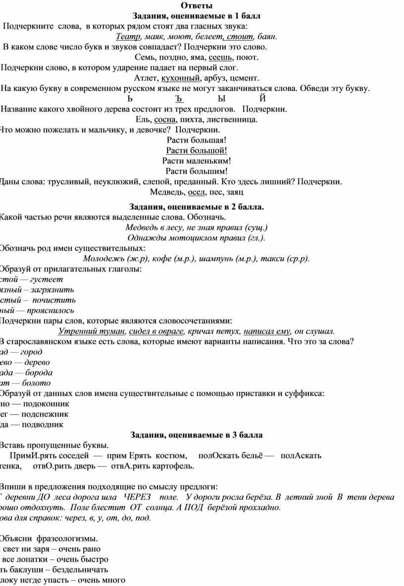 Олимпиада по русскому языку, 3 класс